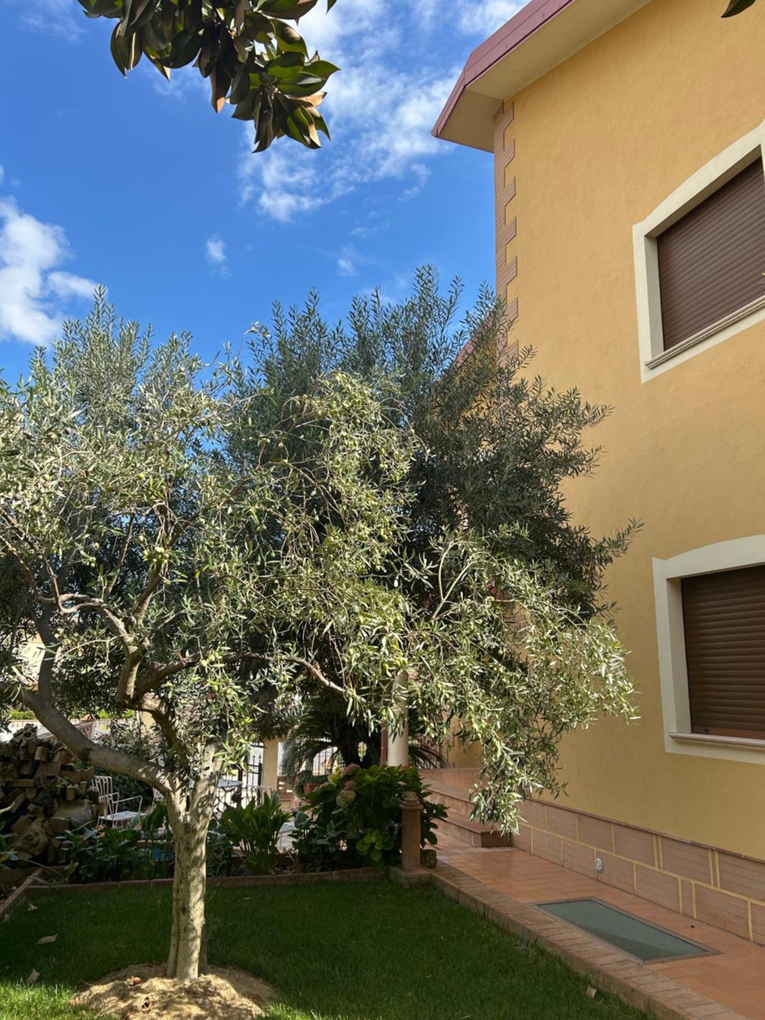 B&B Villa Maria Catanzaro Dış mekan fotoğraf