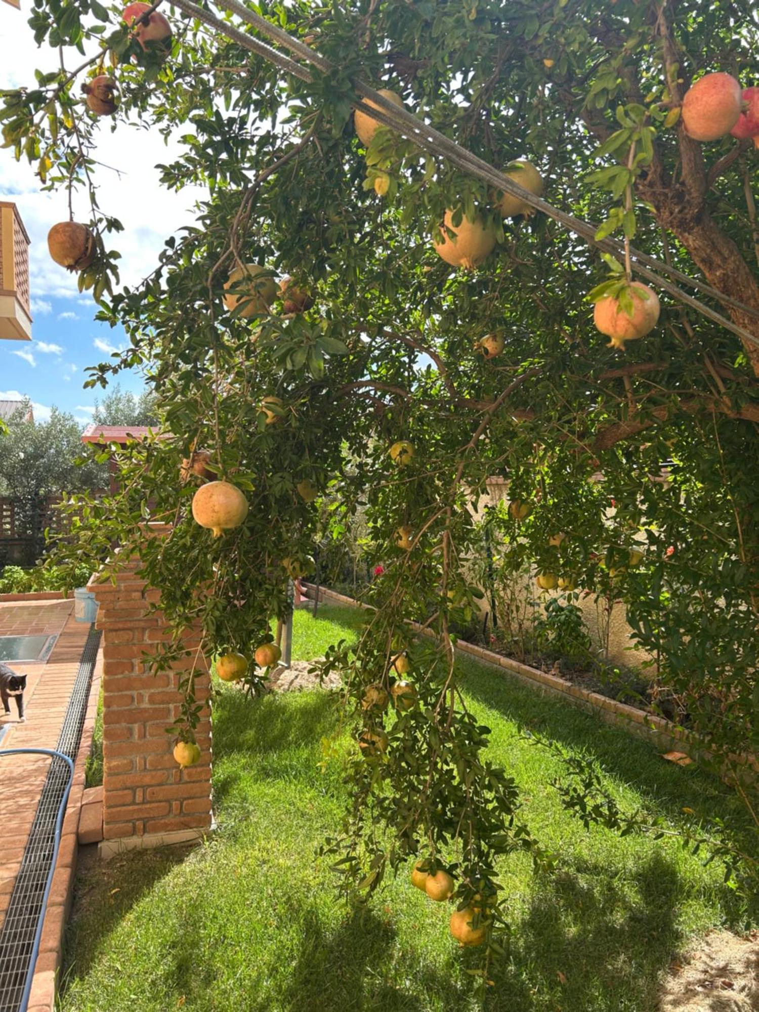 B&B Villa Maria Catanzaro Dış mekan fotoğraf